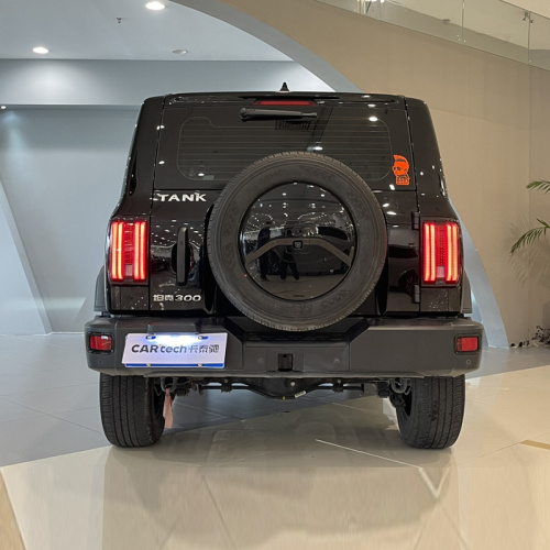 2021 Tank 300 2.0T Версия бездорожья
