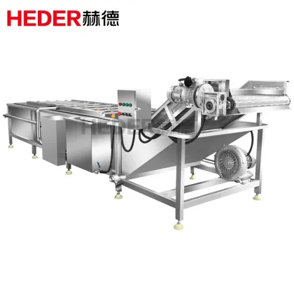 High Pressure Fresh Ginger Washing Machine Price