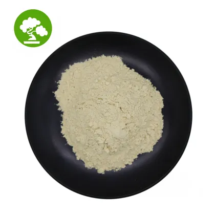 Weight Loss HCA 60% Garcinia Cambogia Extract