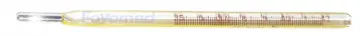 Clinical Thermometers Oral Use