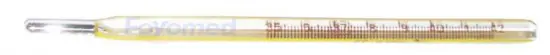 Clinical Thermometers Oral Use