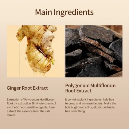 Professional High Effective Hair Ginger Shampoo 400ml - Anti Hair Loss Shampoo