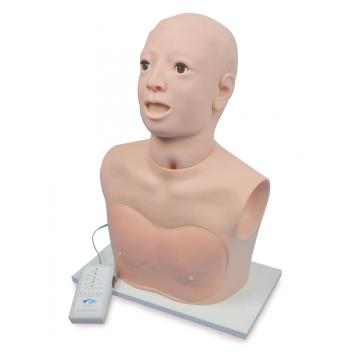 Modelo de examen de cavidad nasal (monitoreo electrónico)