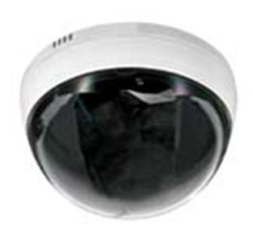 H.264 Infrared Wireless Internet Cameras With Dual Stream, 420 Cable, 1/3 Sony Ccd
