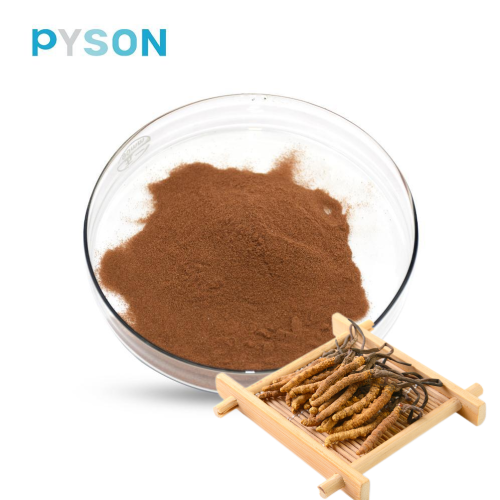 Cordyceps Mycelium Powder Cordyceps sinensis