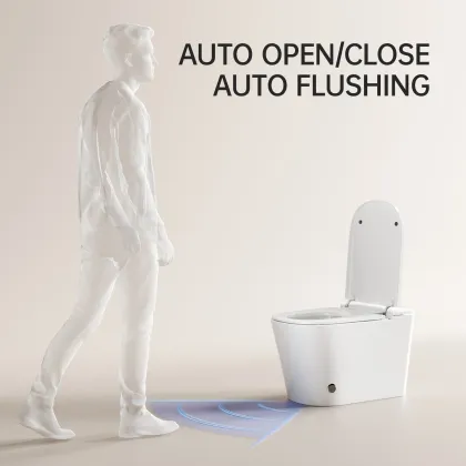 Smart One-Piece Bathroom WC Toilet