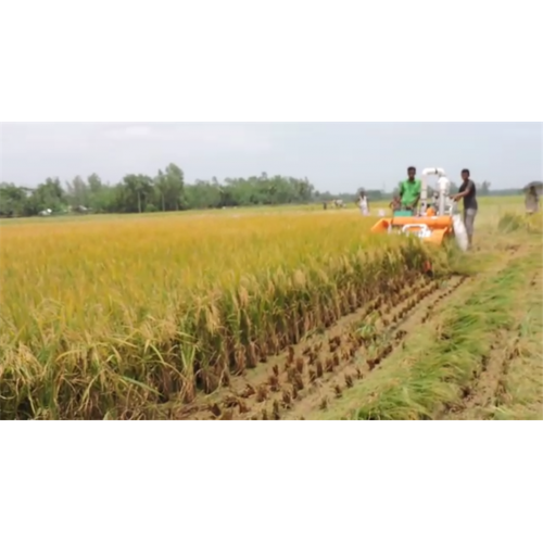 Automatic Rice Harvester Combine Harvester Rice