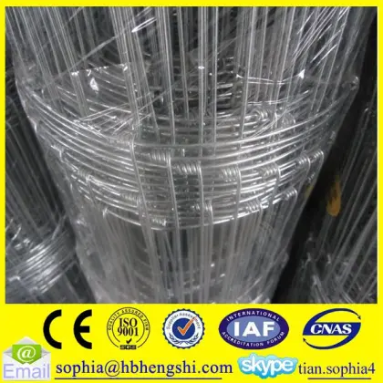 durability farm field fence/high tensile game fence/grassland field fence                        
                                                                                Supplier's Choice