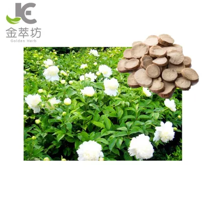 White Paeony root extract powder 10:1 radix paeoniae alba extract