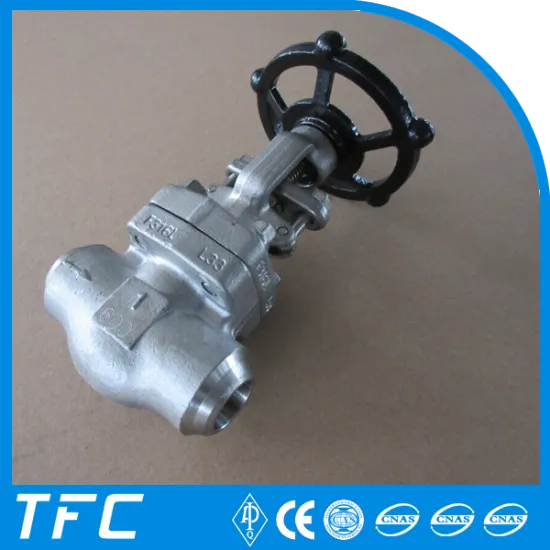 China forged steel gate valve producer supplier