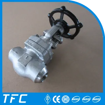 alloy steel globe valve plug type