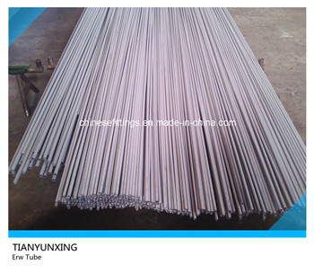 Ss304 & Ss316 Seamless Stainless Steel Pipes/Tubes