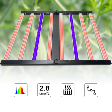 Dreikanal-UV-IR-Lichtspektrum für Wurzelklone