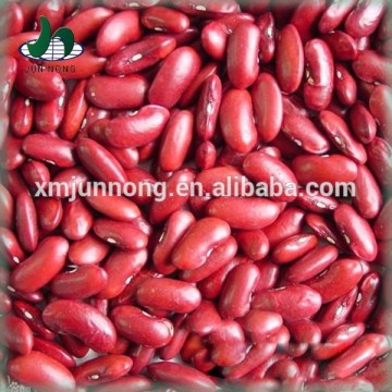 Wholesale canned kidney beans high protein