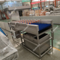 Date Palm Polishing Brush Cleaning Machine for processing