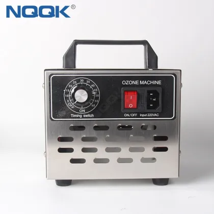 10g 220VAC Timers Stainless Steel Ozone Generator Air Disinfection Machine