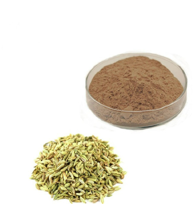 Hot Sale Fennel Extract