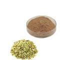 Hot Sale Fennel Extract