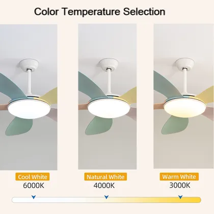 ESC Lighting smart remote control ceiling fan