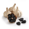 The hypertension whole black garlic