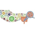 100billion Inhibit Oral Bacteria Lactobacillus Salivarius