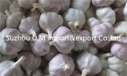 Health benefit Chinese garlic