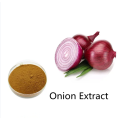 Buy online active ingredients Onion Extract powder