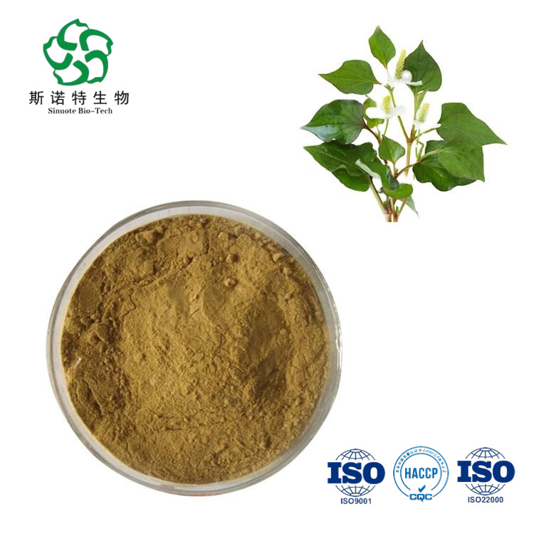 Free Sample Houttuynia Extract Powder 10:1