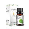 Óleo de aromaterapia de aromaterapia do difusor natural puro Óleo de massagem