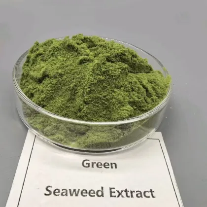 Biostimulant Organic Seaweed Extract