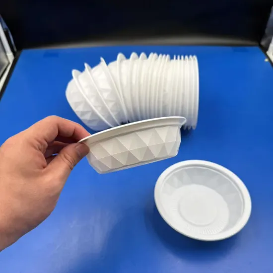 Customizable PP plastic disposable food bowl tray