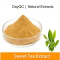 Extracto de hoja de té dulce 70% a granel