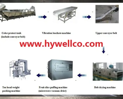 Medicinal Slices Microwave Vacuum Dryer