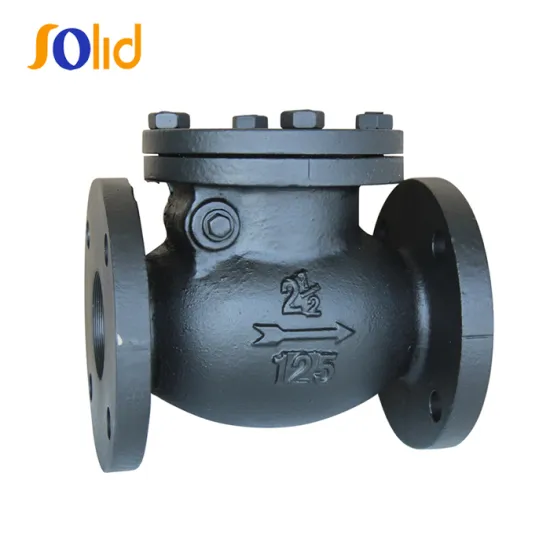 Carbon Steel Double Flange Class150 Swing Check Valve
