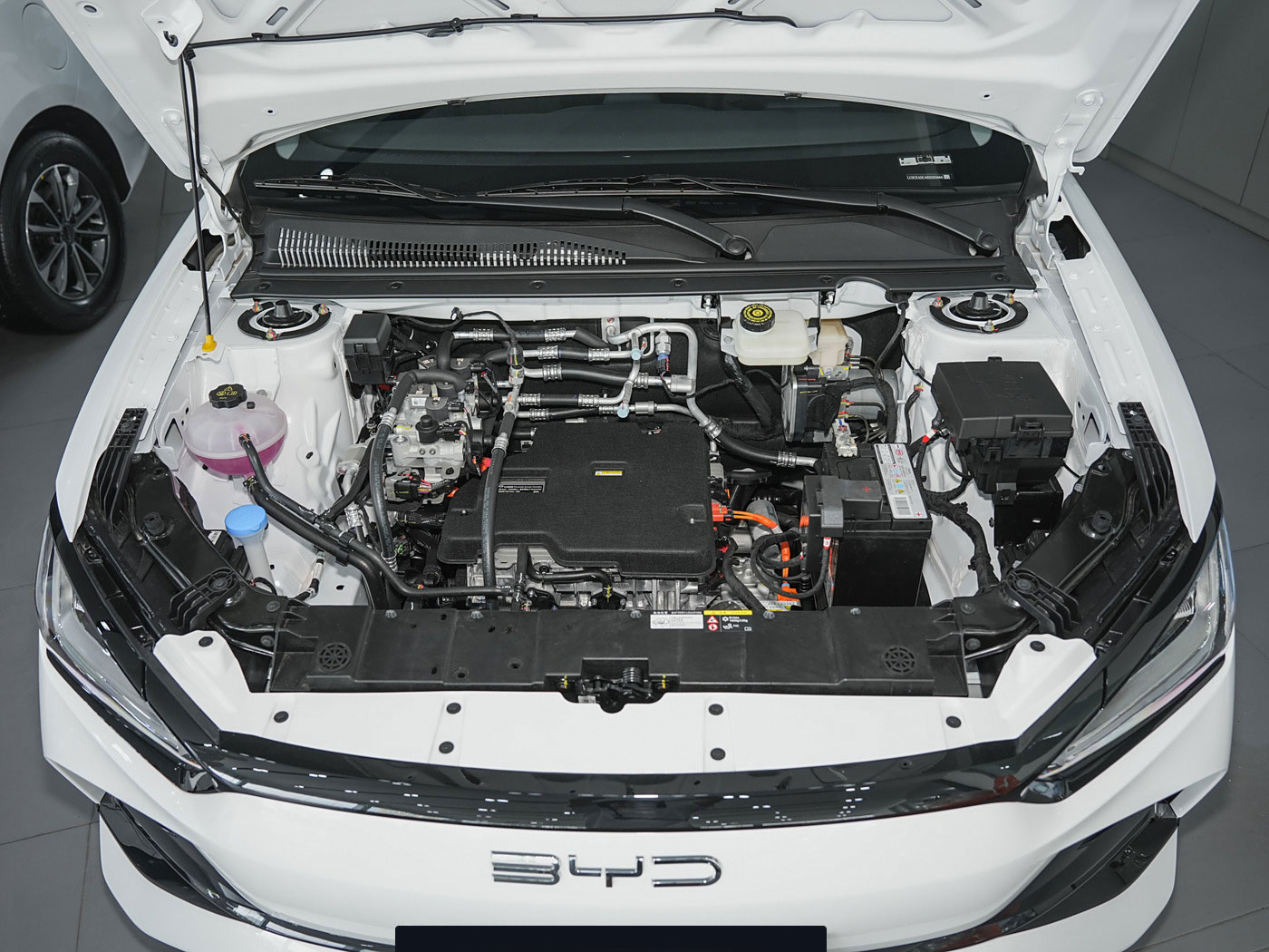 BYD E2 2024 New OKM Pure Electric Car