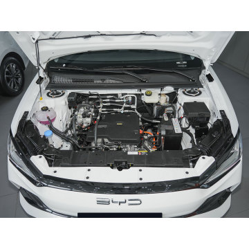 BYD E2 2024 New OKM Pure Electric Car