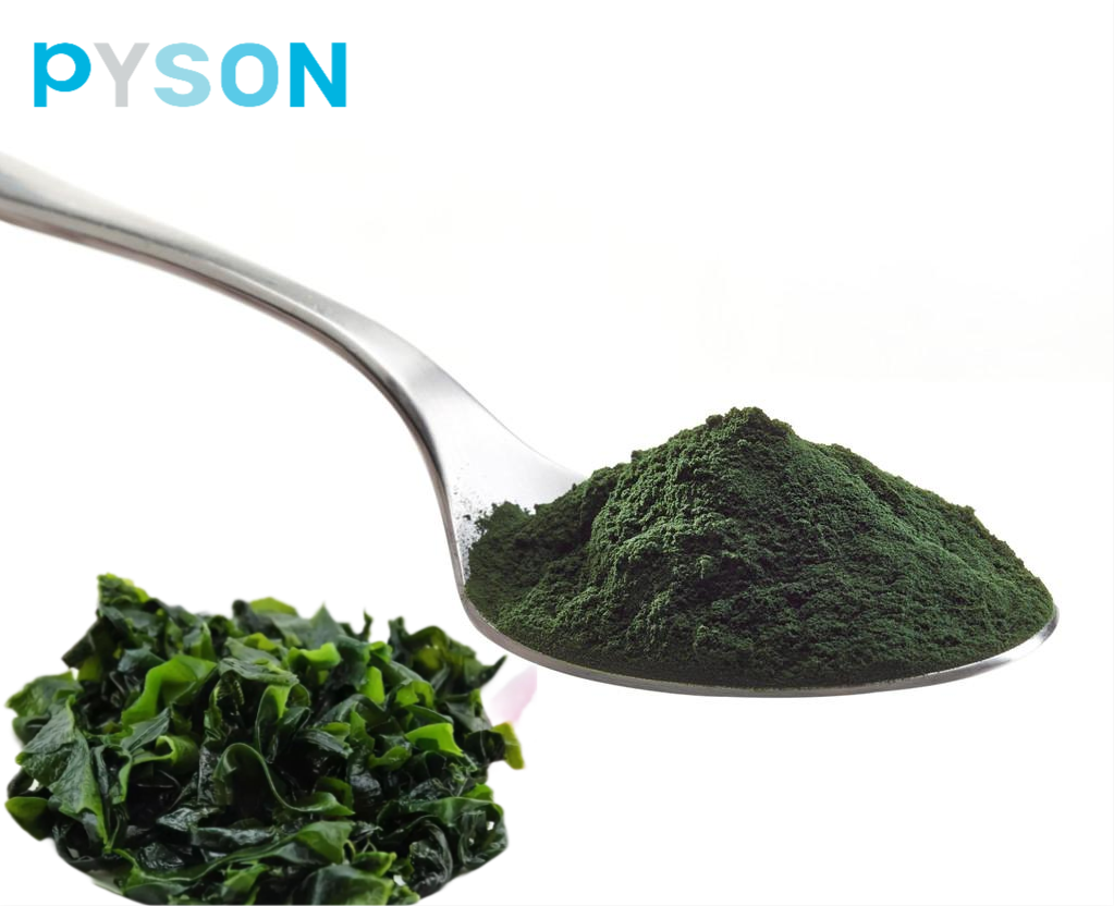 Spirulina Powder