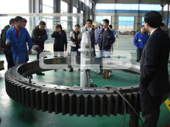 ladle turret slewing bearings