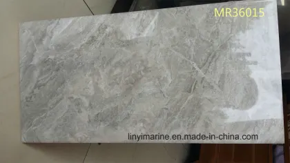 30X60 Ceramics Porcelain Kitchen Wall Tiles