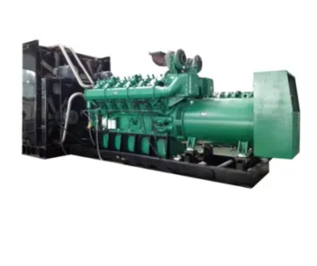 Customized silent 1000kw bio mass power plant price