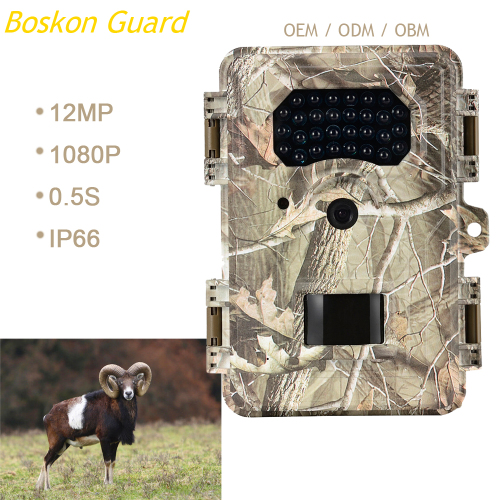 Niski połysk podczerwieni Night Vision Wildlife Hunting Cam