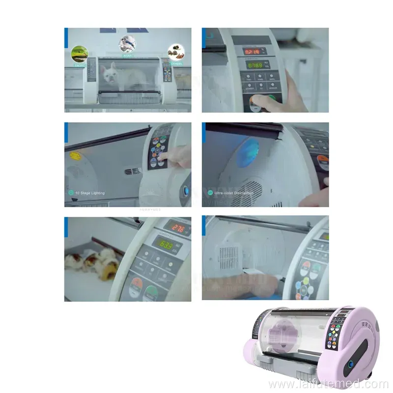 Portable Pet ICU Oxygen Incubator