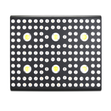 2021 Best COB LED Grow Light 3000w