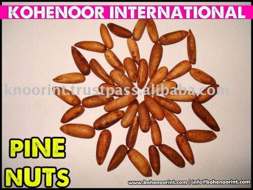 In Shell Pine Nuts