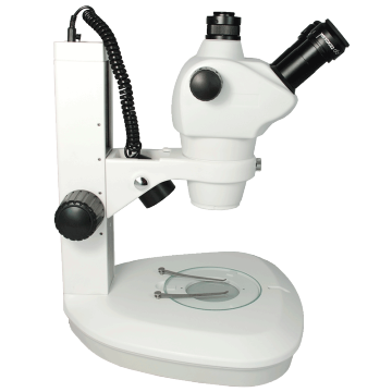 Microscope numérique Zoom TS-10N de haute qualité de l'usine professionnelle