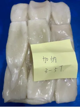 Frozen Squid Tube Illex Coindetii U3-U5
