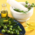 India Neem Seed Oil Chinaberry