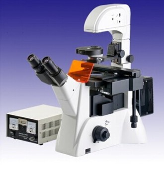 Inverted Fluorescence Microscope