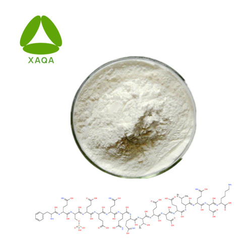 Poudre Cas No.9000-71-9 de la protéine de caséine d'additif alimentaire 99%