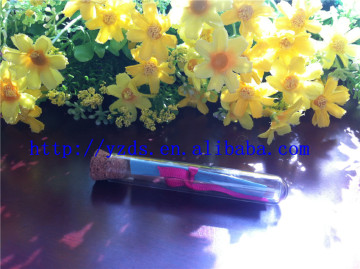 glass wishing bottle with cork (test tube shaped)
